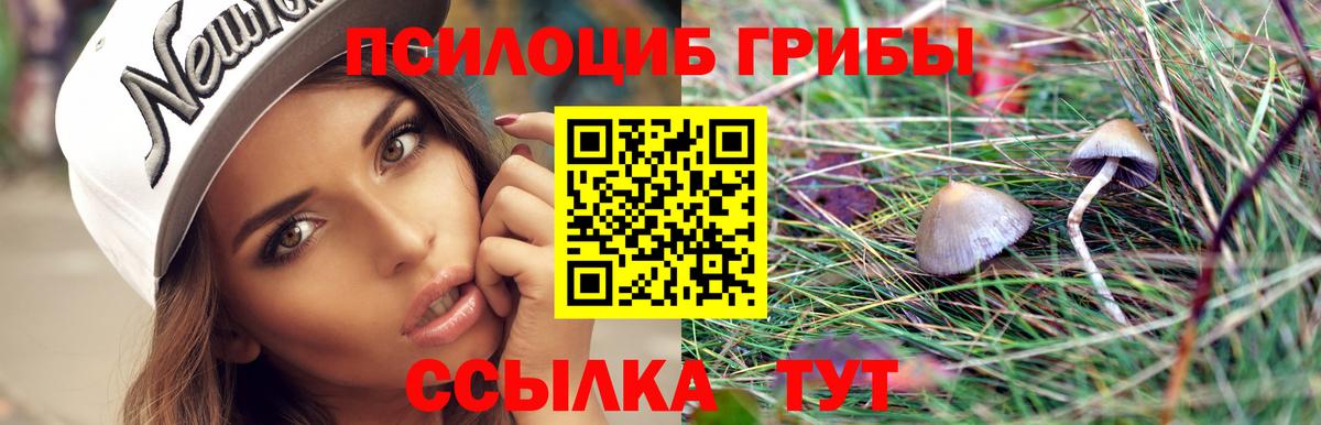 Галлюциногенные грибы GOLDEN TEACHER  Вход с VPN  как найти закладки  Дивногорск 