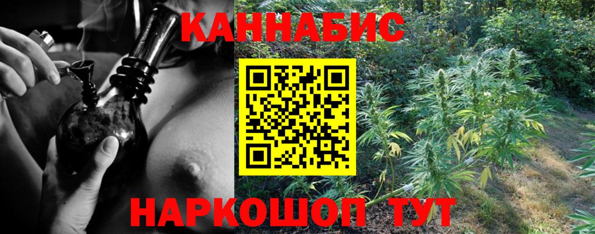 Канабис семена Дивногорск